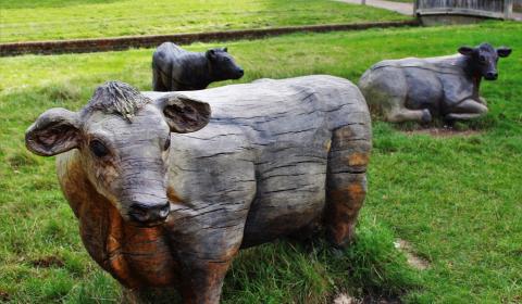 Wooden cows in Worth Park